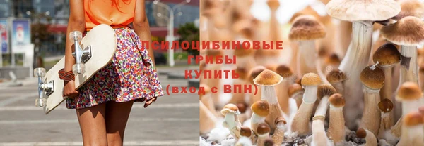 кристаллы Карпинск