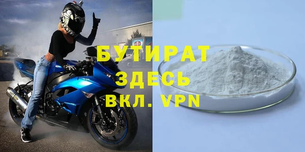 индика Каменка