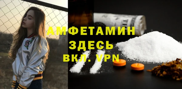 индика Каменка