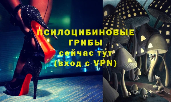 прущий лед Карталы
