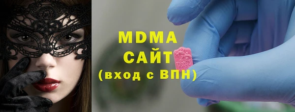 индика Каменка