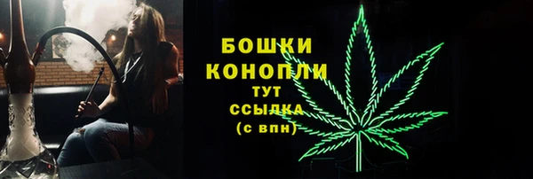кокс Касимов