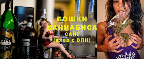 индика Каменка
