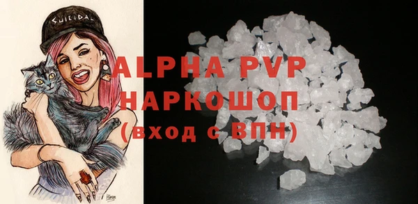 индика Каменка