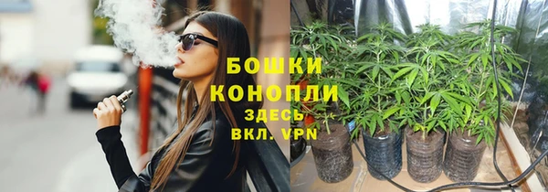 кокс Касимов