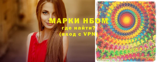 кокс Касимов