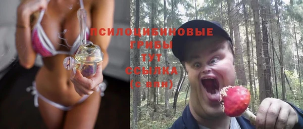 кристаллы Карпинск