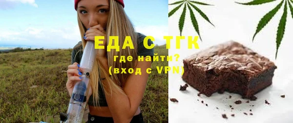 индика Каменка