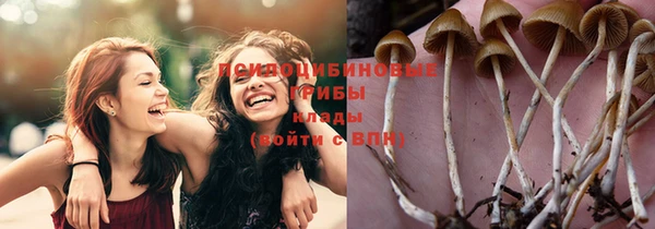 кокс Касимов