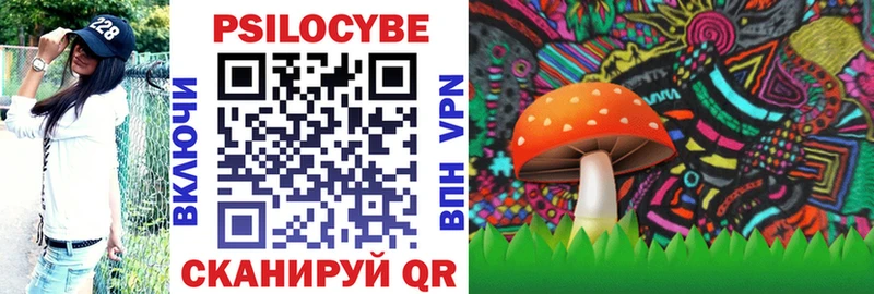 Купить закладки  Кропоткин  Псилоцибиновые грибы Magic Shrooms 